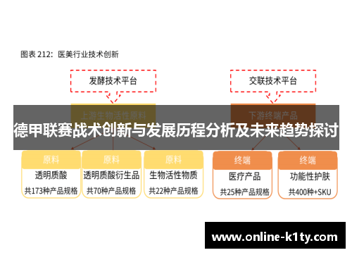 德甲联赛战术创新与发展历程分析及未来趋势探讨