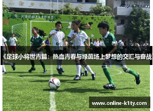 《足球小将世青篇：热血青春与绿茵场上梦想的交汇与奋战》